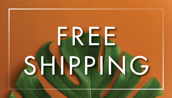 FREE Shipping