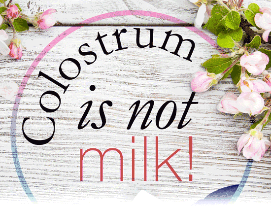 Colostrum is not milk. <br>Powerful Effects of Colostrum